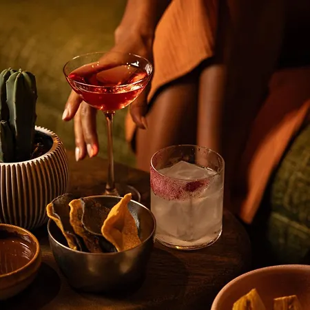 阿姆斯特丹万丽酒店 4*